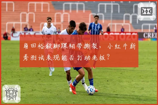 角田裕毅脚踝韧带撕裂，小红牛新秀测试表现能否打动老板？