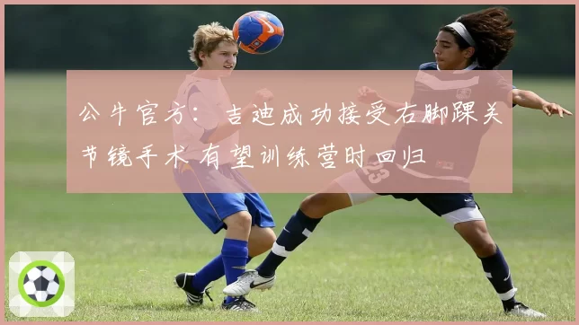 公牛官方：吉迪成功接受右脚踝关节镜手术 有望训练营时回归