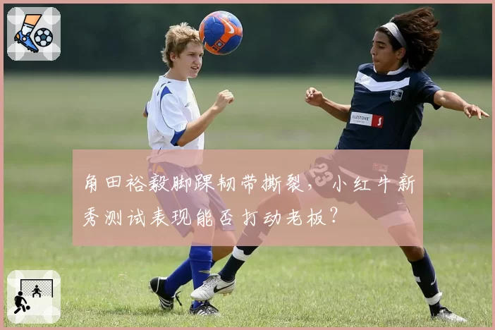 角田裕毅脚踝韧带撕裂,小红牛新秀测试表现能否打动老板?