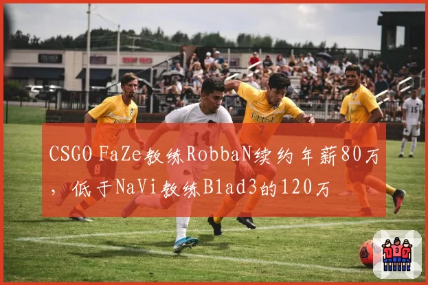 CSGO FaZe教练RobbaN续约年薪80万,低于NaVi教练B1ad3的120万