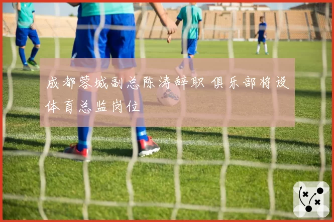 成都蓉城副总陈涛辞职 俱乐部将设体育总监岗位