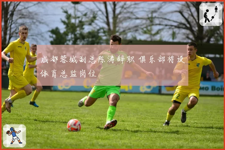 成都蓉城副总陈涛辞职 俱乐部将设体育总监岗位