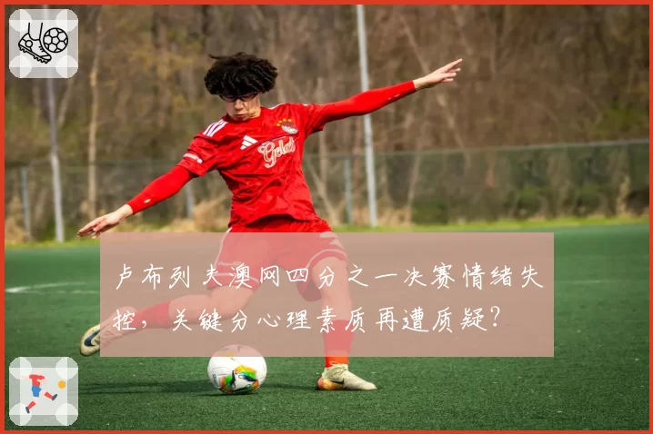 卢布列夫澳网四分之一决赛情绪失控,关键分心理素质再遭质疑?